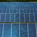 Why Green Living is Important Today