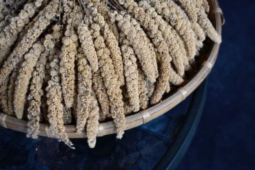 Why Should You Use Singhara Atta in Your Daily Life?