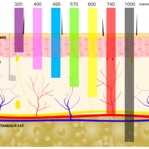 Light wavelengths and their healing effects on the human body