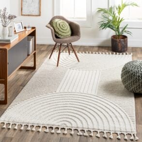 modern rug care