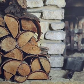 best kiln dried logs