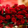 Red roses