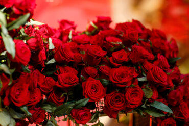 Red roses