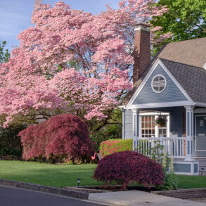 Family home and garden in Gresham Oregon surrounded in Spring colors.